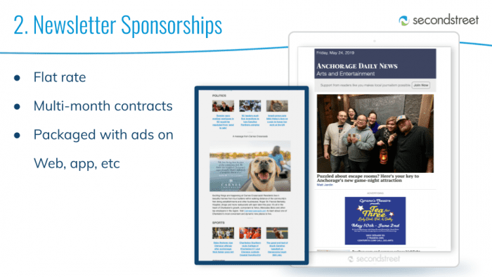 Newsletter sponsorships