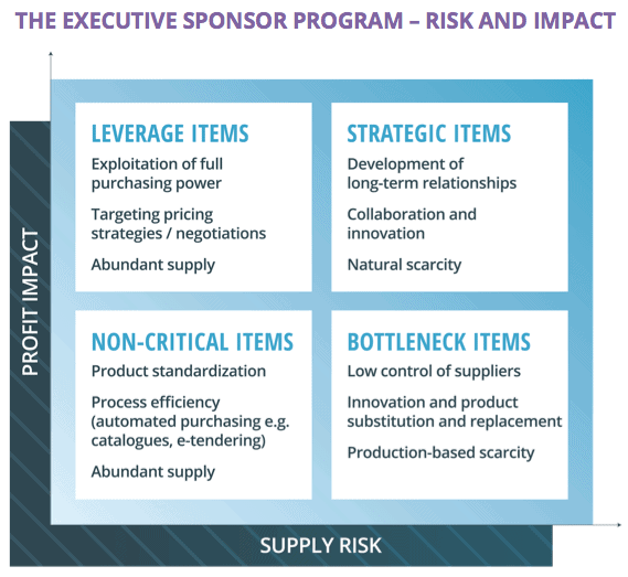 Executive sponsor program - risk and impact chart with a quadrant system that categorizes items into leverage, strategic, non-critical, and bottleneck based on profit impact and supply risk.