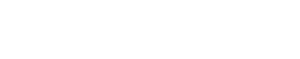 BA Insight White Logo