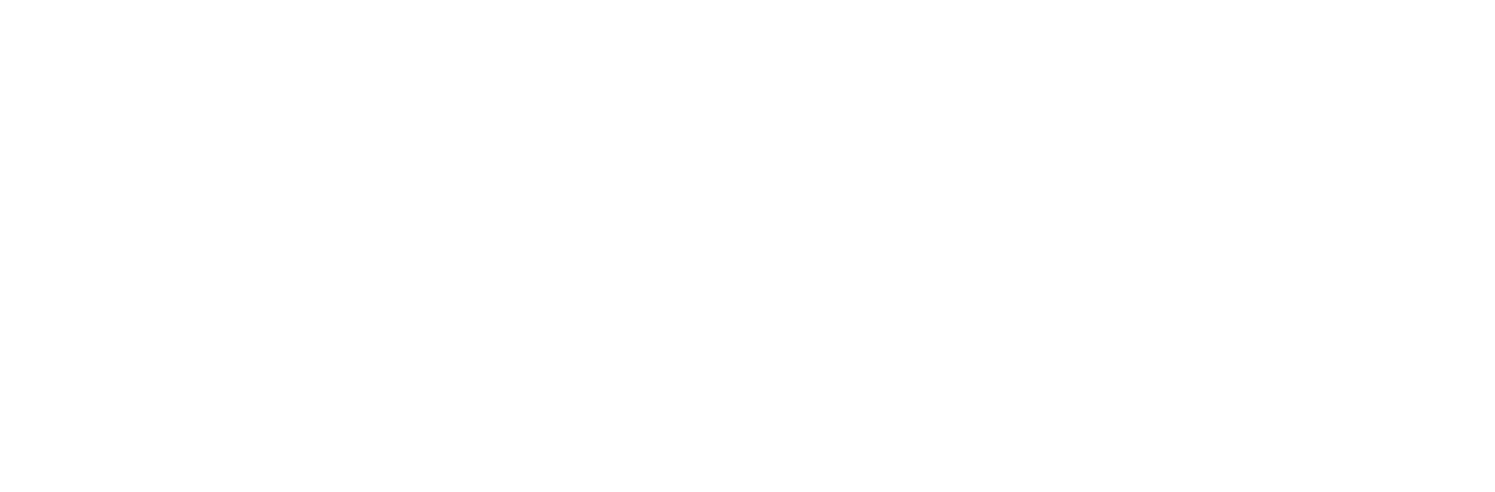 Concord Logo White