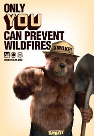 content wildfire prevention lessons from smokey the bear