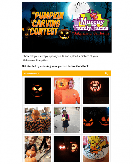 Pumpkin Carving Photo Contest