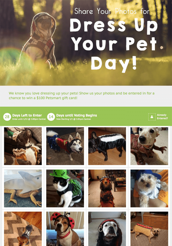 Photo Contest for Dress Up Your Pet Day