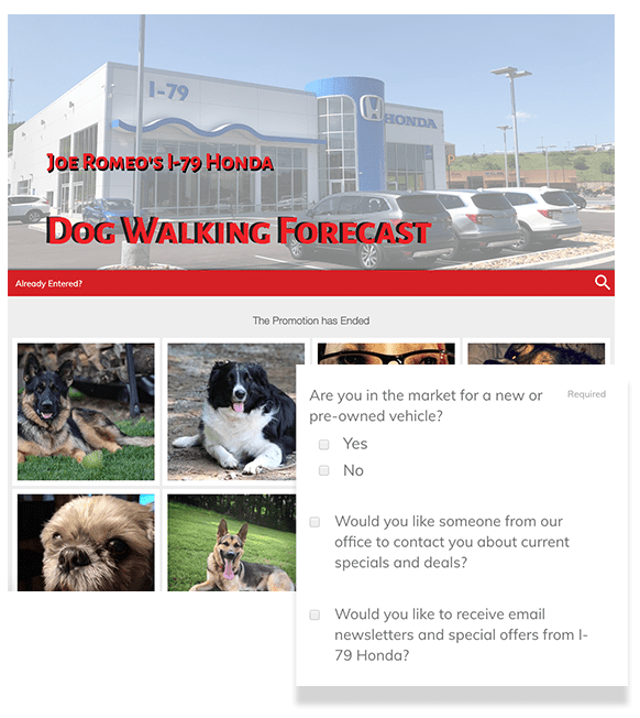 Dog Walking Forecast