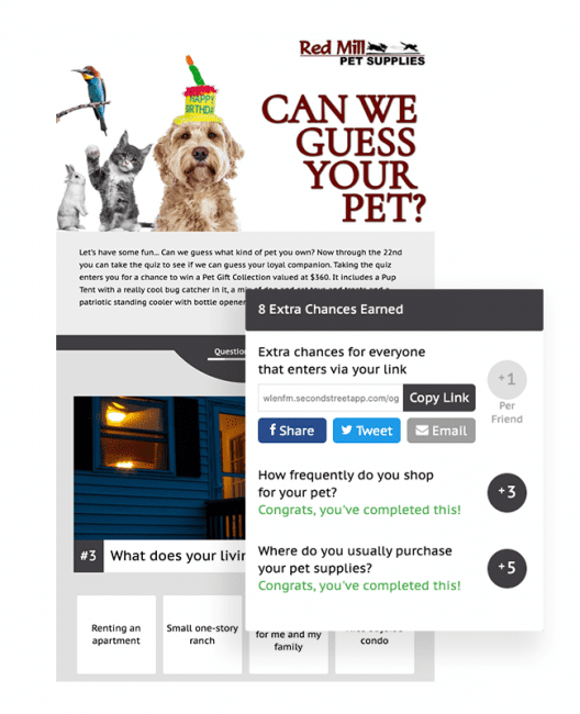 ‘Can We Guess Your Pet?’ quiz