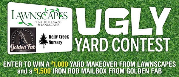 ugly-yard-contest