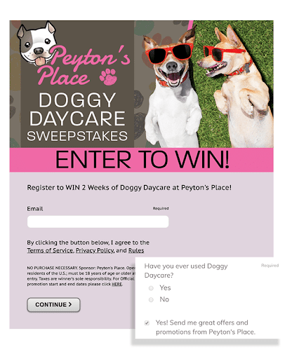 Peyton's Place doggy daycare sweepstakes from Spartanburg Herald-Journal